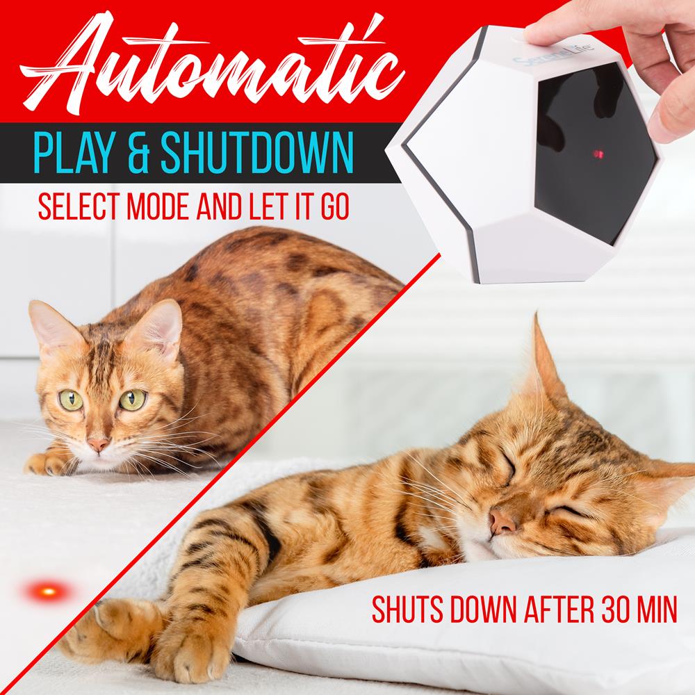 Smart Pet Laser Toy - Digital Cat Toy Laser Pointer