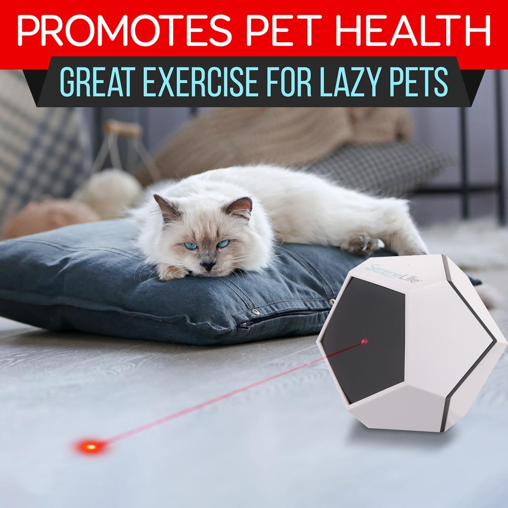 Smart Pet Laser Toy - Digital Cat Toy Laser Pointer