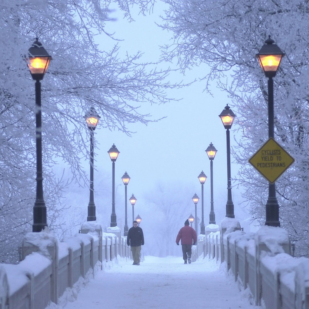 Winter Ideas