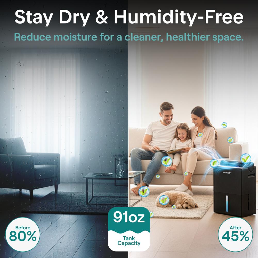 Serenelife 2-In-1 Dehumidifier With Removable Dehumidifying Cylinder, Intelligent Humidity Control, Timer & Sleep Mode – Ideal For Medium To Large Rooms (Black)