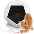 Smart Interactive Pet Laser Pointer Toy