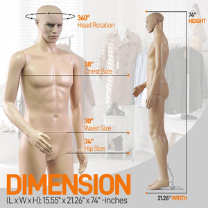 73'' Male Mannequin Torso Dress Form - Detachable Mannequin Full Body Stand