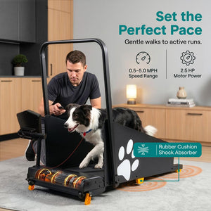 Serenelife Foldable Dog Treadmill With Led Display, Safety Key, 2-Level Manual Incline, And Remote Control - Powered By 2.5Hp Motor For Optimal Pet Workouts